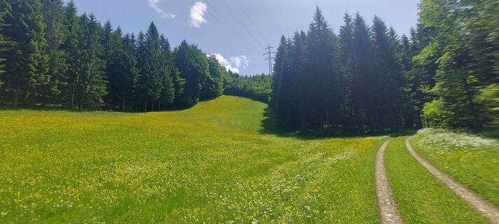 Foto von Klaus Gruber 3 entlang der Tour