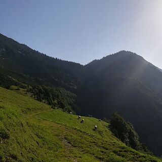 Blick zur Kaisersäule