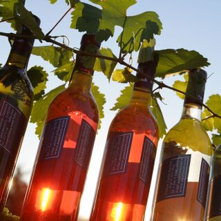 Wein in seiner schönsten Form