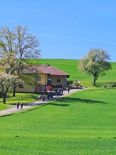 Fotografija s spletne strani greinerin na poti