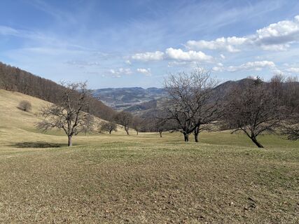 Photo de Moonytiger le long du parcours