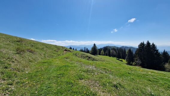 Photo de EP87 le long du parcours