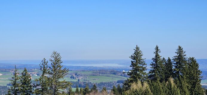 Фото с сайта garrincha во время экскурсии