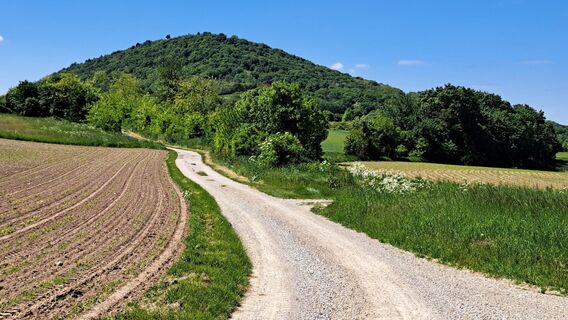 Photo de hoefinj le long du parcours