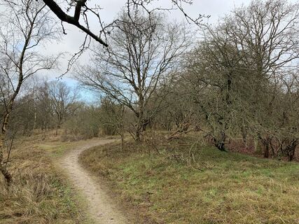 Fotografia z Koen De Wit na trase