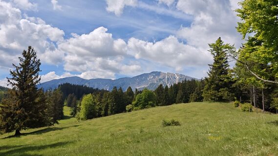 Fotografie z Bergpirat na trase