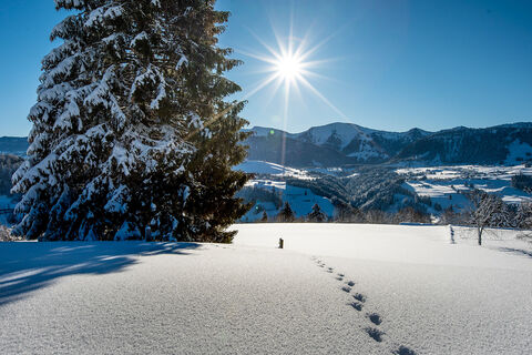 Panoramablick vom Ortsteil Berg