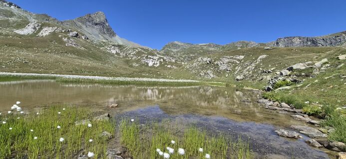 Photo de Priska Thomann-Bischofberger le long du parcours