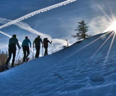 Winterstimmung auf der Tyrnaueralm_Naturpark Almenland_Oststeiermark