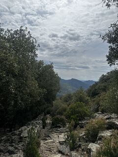 Foto von Femke Veenhuizen entlang der Tour
