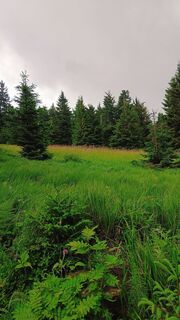 Foto de Romek Dwornik a lo largo del recorrido