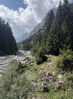 Fotografija s spletne strani Sophie van Pelt na poti