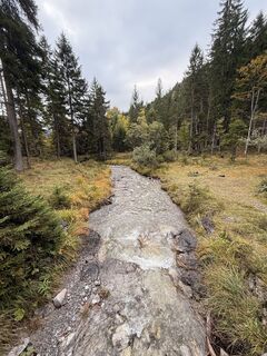 Kuva osoitteesta Wladimir Zenner matkan varrella