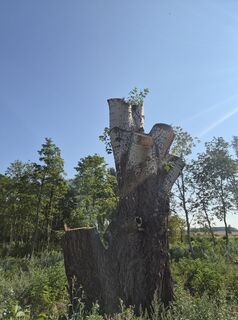 Photo de Markus Hummelbrunner le long du parcours