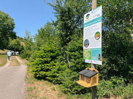 Erlebnis-Lehrpfad für Familien zum Klimawandel in Oberwolfach