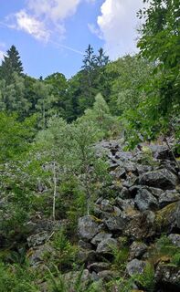 Saulochschlucht