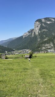 Fotografia z firobad na trase