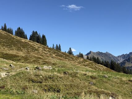 Foto von Markus Ackermann entlang der Tour