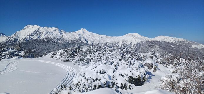 Fotografie z Janez Perko na trase