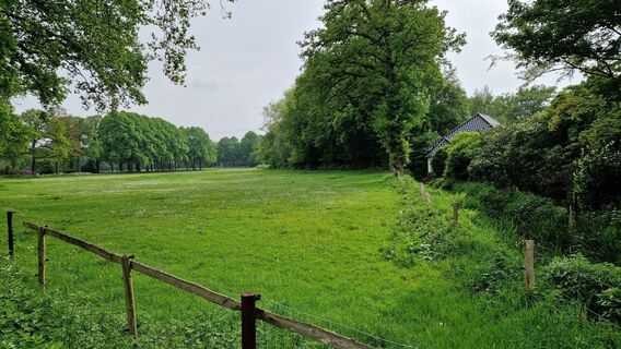 Fotografija s spletne strani Gerrit van der Linde na poti
