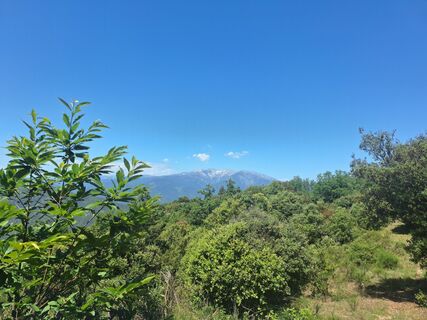 Foto de Magma a lo largo del recorrido