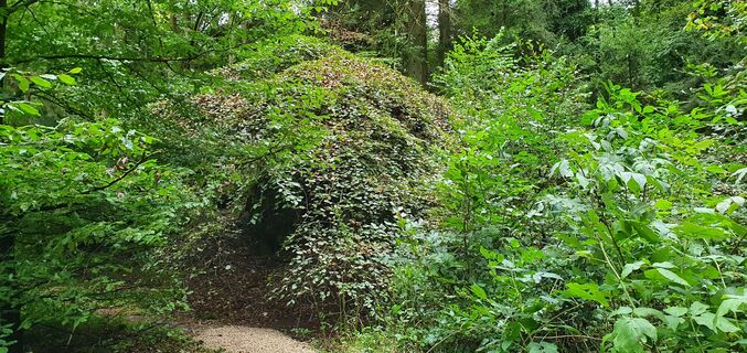 KrausbuchenWeg_Schönecker Schweiz_Sebastian Wiesen_10.2021 (44)