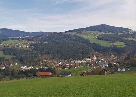 Ortsblick_Birkfeld_Oststeiermark