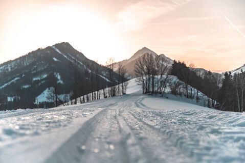 langlaufen_thiersee_(c)ofp (6).jpg