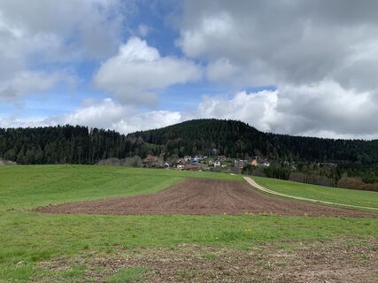 Foto de Kristina  1 a lo largo del recorrido