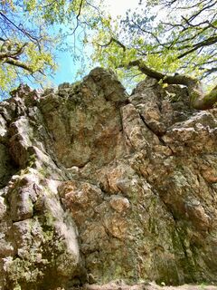 Foto da Arthur Muskalla lungo il tour