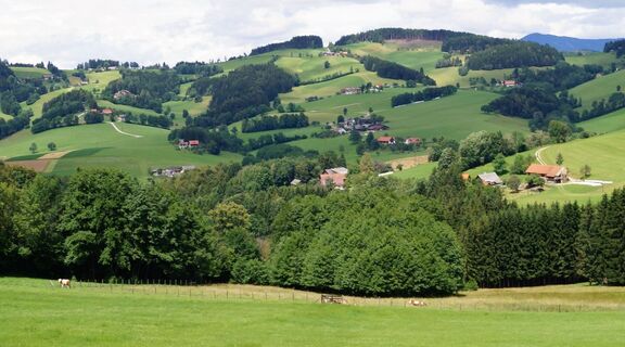 r4 kl. panoramarundweg_img_19155169