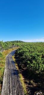 Foto von Roman Kramer entlang der Tour