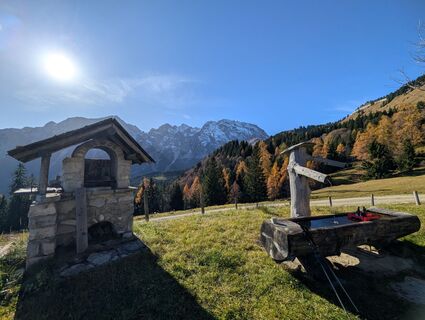 Fotografie z Pfefferam na trase