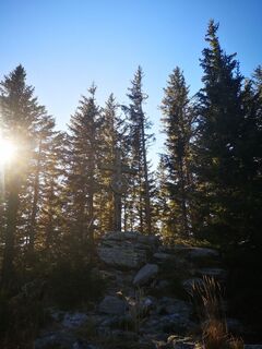 Fotografia z Ric Hard na trase