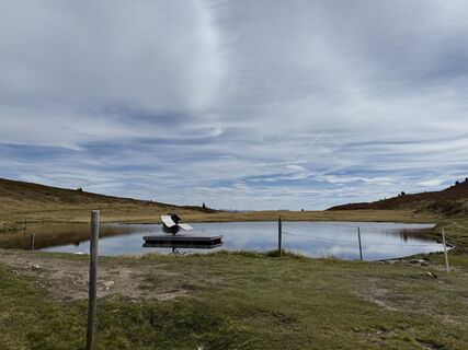 Foto från Frank de Vries under resans gång