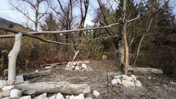 Fotografia z Cati W1985 na trase