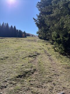 Photo de Johann Pöschl le long du parcours