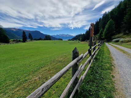 Foto von Kleinermatze entlang der Tour