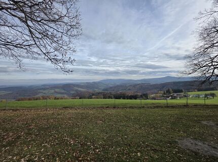 Фото с сайта Harald Kriebel во время экскурсии