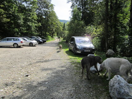 Parkplatz Hirnalm