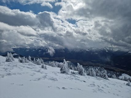 Fotografija s spletne strani MarionFeik na poti