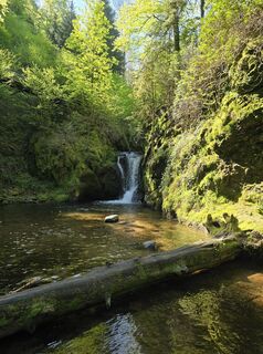 Fotografija s spletne strani Michel Kennel na poti
