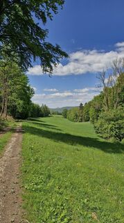 Photo de Sebastian le long du parcours