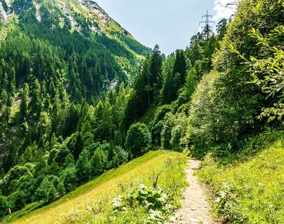 weg alpenhaus kesselfall - mooserboden_img_83119127