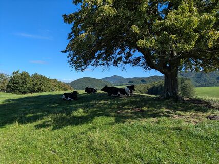 Foto von Edero entlang der Tour
