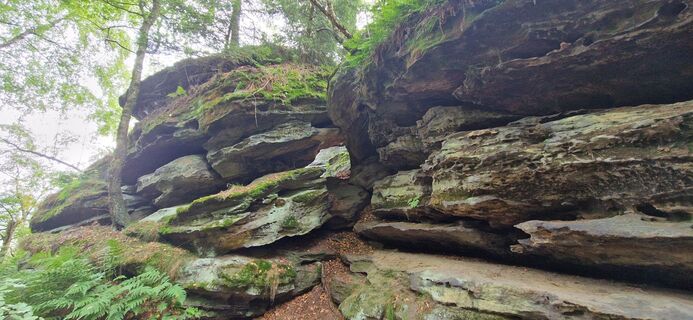 Foto de Ronny Kalusa a lo largo del recorrido