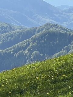 Zdjęcie z Gerlinde Hofer wzdłuż trasy