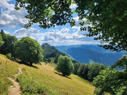 Foto von Petra Riegler entlang der Tour