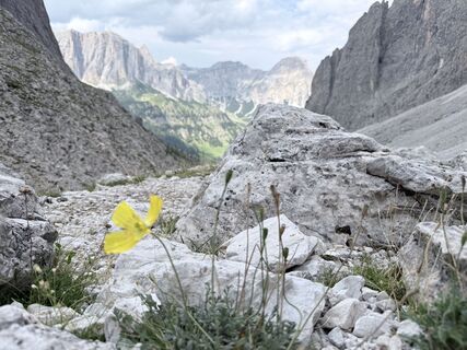 Photo de michele angelini le long du parcours