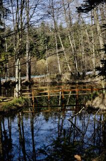 Foto von Kellner Heidi entlang der Tour